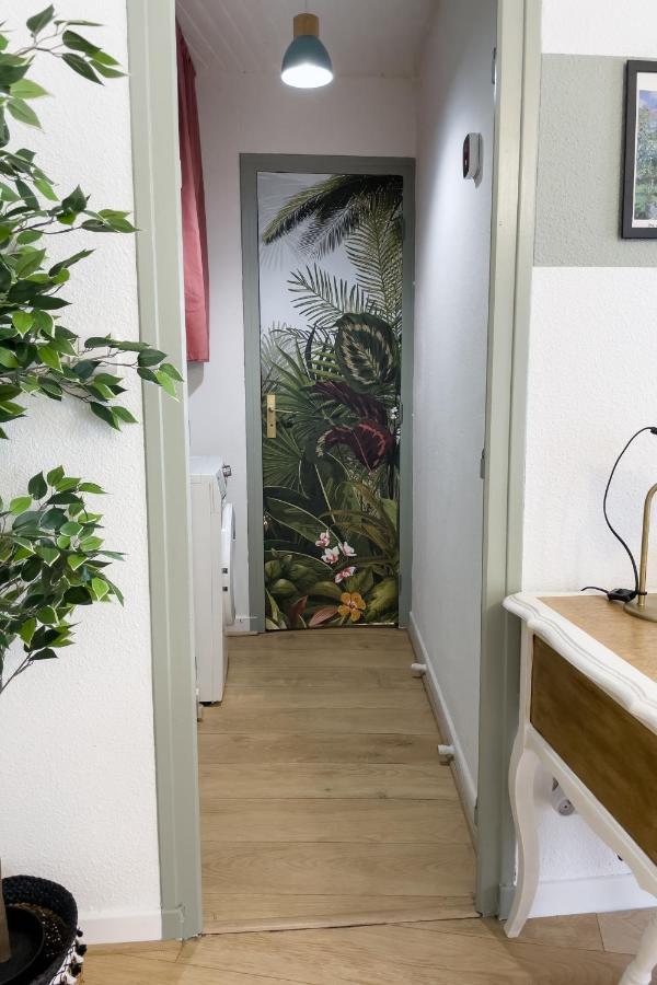 Appartement Lumineux 1 Chambre Hypercentre Place St Jean ヴァランス エクステリア 写真